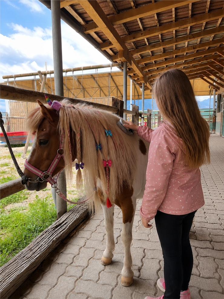 KINDERPROGRAMM -Pferdeglück am Salitererhof in Ebbs - Ebbs