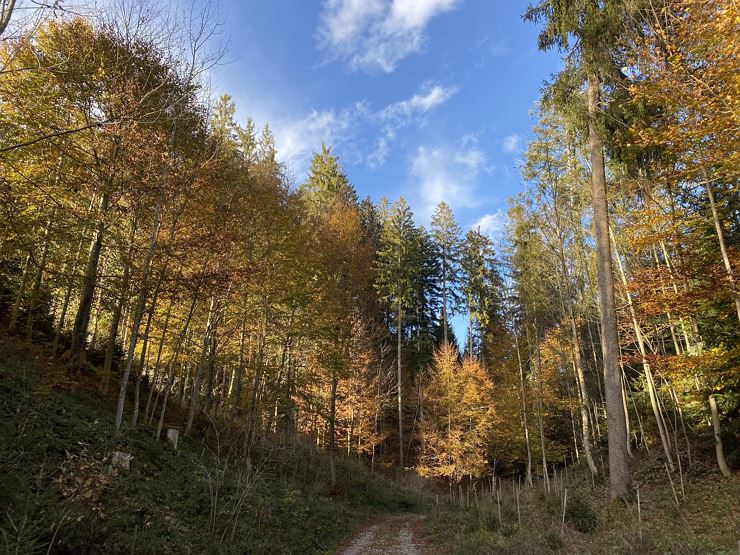 Walk & Talk – Bewegung trifft Ernährungsberatung