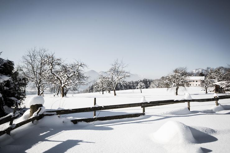 Winterwandern mit Aussicht und Genuss - unterwegs am Niederndorferberg - Niederndorferberg