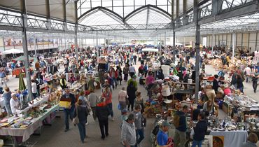 Antikmarkt - Erlebnisgärtnerei Hödnerhof - Ebbs