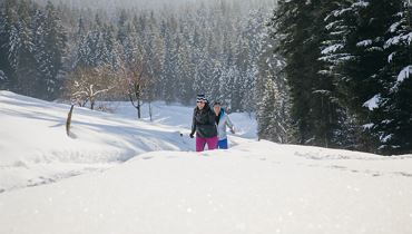 Faszinierende Sonnbergwanderung - Thiersee