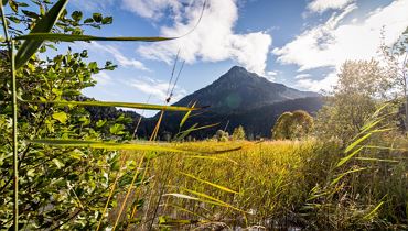 Entschleunigendes 'Waldbaden im Hochwald' - Hinterthiersee