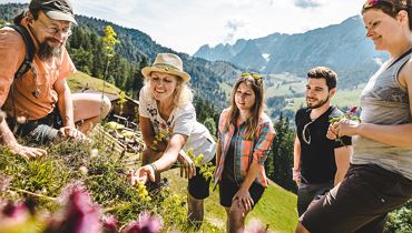 Themenführung - Pflanzenschätze im Kaisergebirge - Kufstein