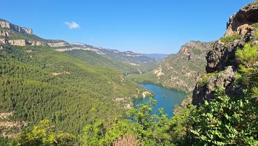 Wildes Valencia - Kufstein