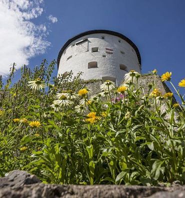Pflanzen- und Kräutergarten Festung Kufstein