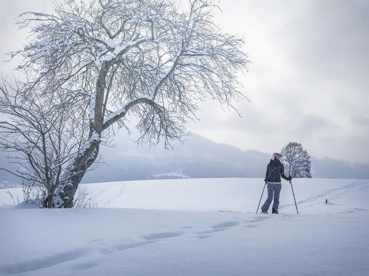 Schneeschuhwanderung Ebbs