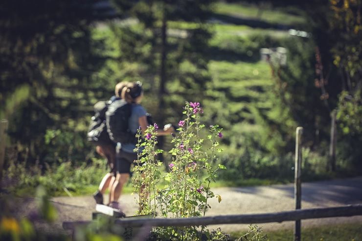 Kaiserlift Tourentipp 2: Steinbergalm