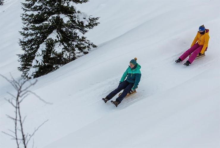 Natural toboggan run Trockenbach/Mariandlalm