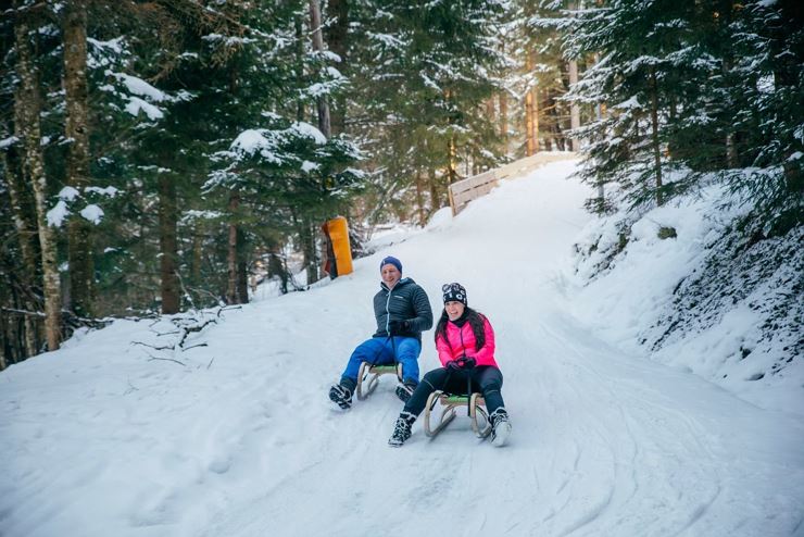 Natural toboggan run Wieshof