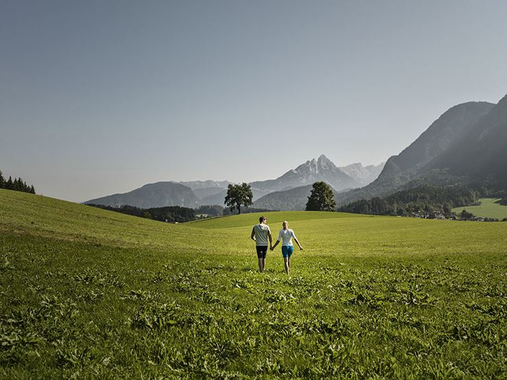 Pölvenrunde