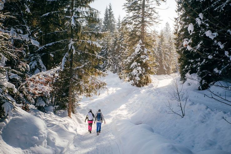 Premium Winterwanderweg - Wäschkogelrunde