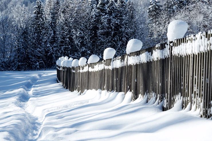 Winterwanderung mit Scheffauerblick