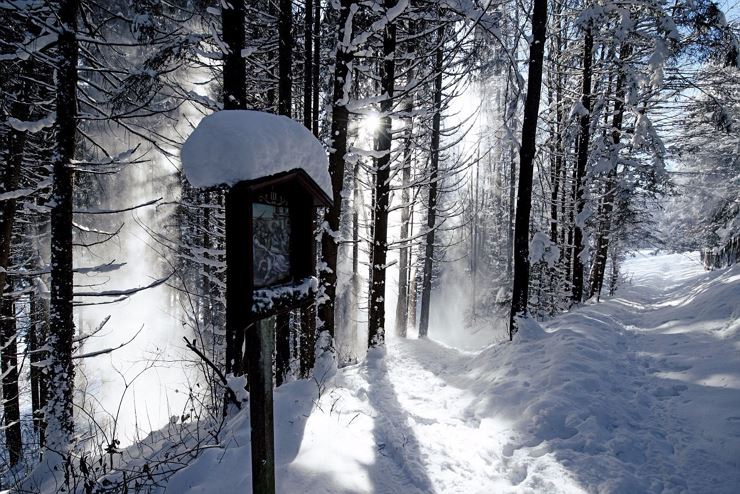 Winter walk around Niederndorf