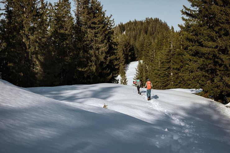 Schneeschuhwanderung zur Altkaser Alm