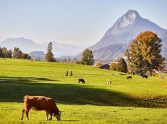 A1 - Relaxed cycling to lake Walchsee