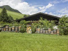 Wald-Wild-Bienenlehrpfad