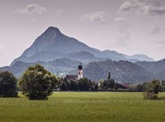 Haflinger Rundweg Ebbs