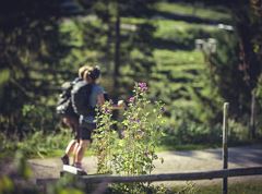 Proposta tour 2: verso la baita Steinbergalm