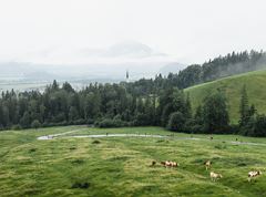 KOASA-Marsch Valley hike 