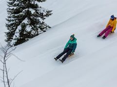 Natural toboggan run Trockenbach/Mariandlalm