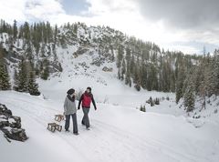 Natural toboggan run Kala Alm