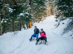 Pista da slittino naturale Wieshof