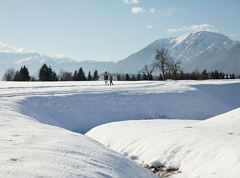 Sentiero escursionistico invernale premium - sentiero panoramico