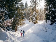 Escursione circolare Hinterthiersee