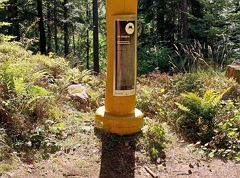 Stazione del Sentiero delle Leggende – La Donna del Bosco