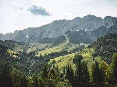 Scheffauer über Widauersteig