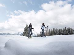 Schneeschuhwanderung Vorderthiersee