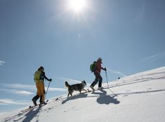 Ski touring area Brünnstein