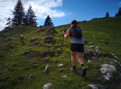 Trail Quickie auf den Veitsberg