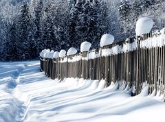 Escursione invernale con vista su Scheffauer