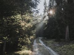 Hike to the Hochwacht Kufstein