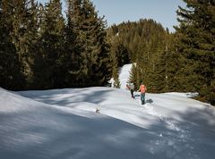 To the Altkaser Alm via Goglalm