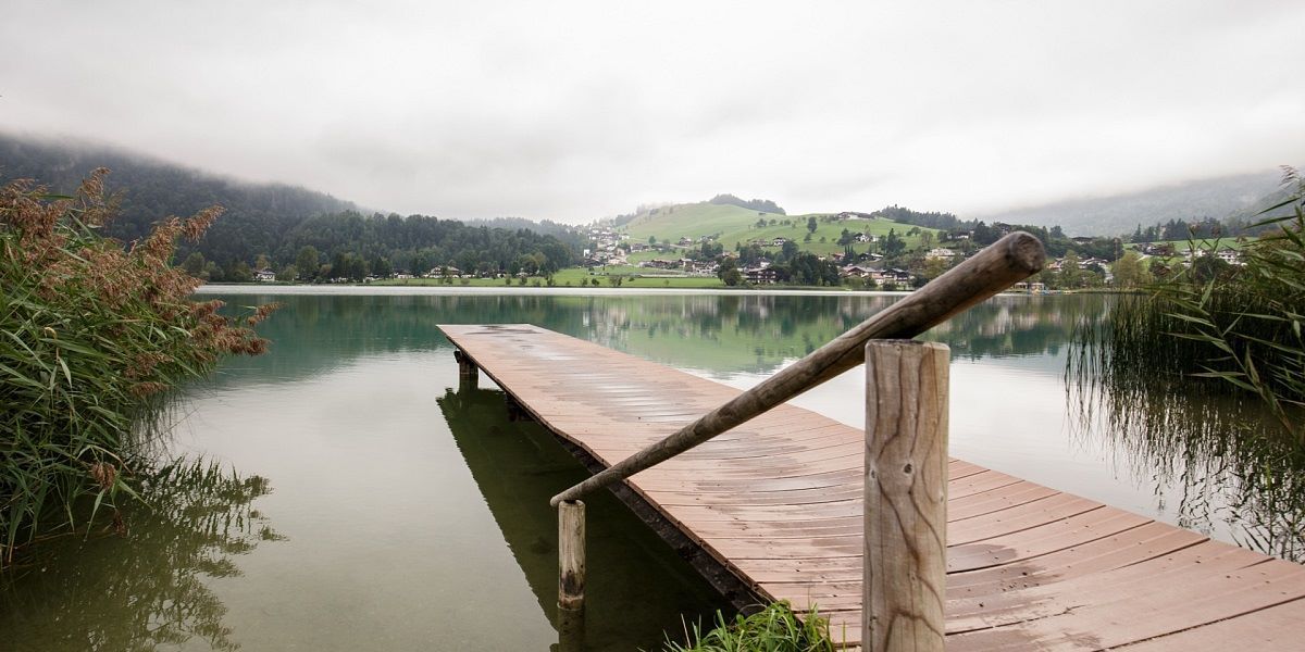 Fonte di energia verde