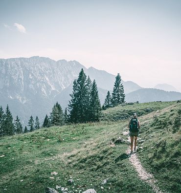 Kaiser Mountains nature reserve - Fascinating mountain world