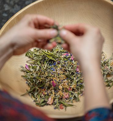 Kufsteinerland herb worlds