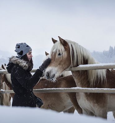 Fohlenhof & Animal encounters