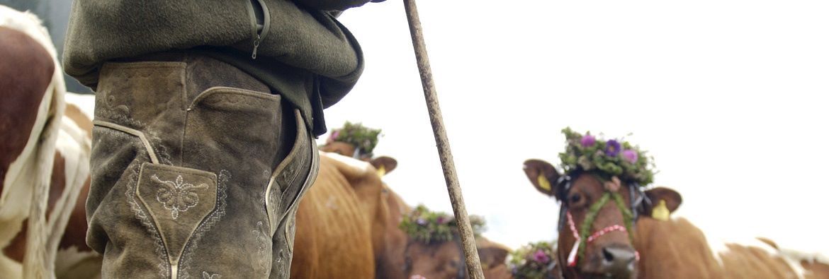 Transumanza a Kufstein