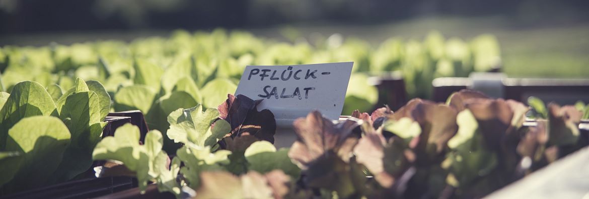 Gärtnerei Strillinger Kufstein