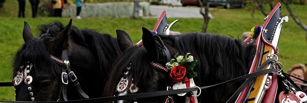 Leonhardiritt a Thiersee