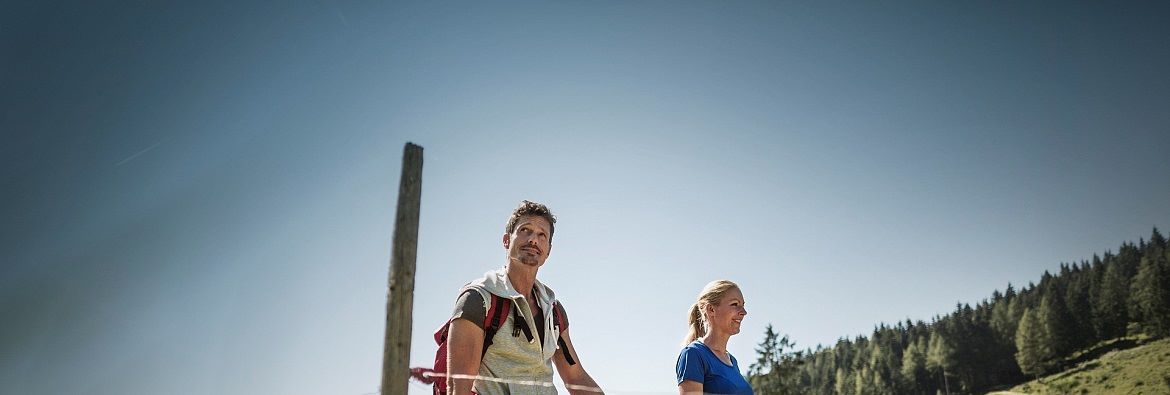 Explore nature on a tour