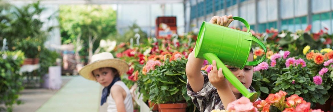 Mondo dei fiori Hödnerhof di Ebbs