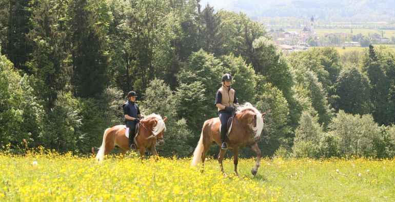 Equitazione e gite in carrozza