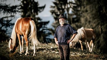 Bringing home the Haflinger stallions Ebbs