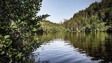 Längsee