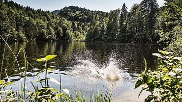 Il Pfrillsee Kufstein