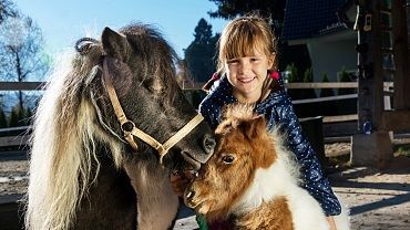 Huber pony carriage rides Niederndorf